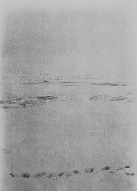 Pack ice with penguins in the distance. DUNIH 1.449