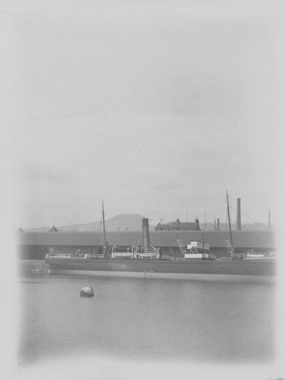 Photograph of ships at Dundee harbour DUNIH 2009.26.1