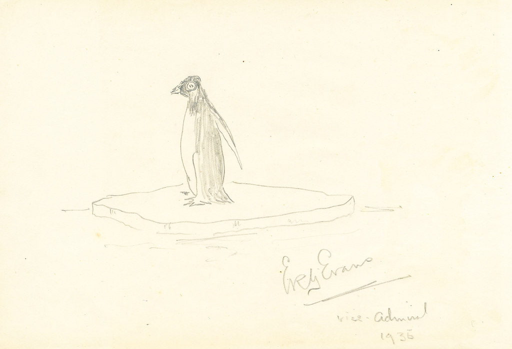 "Penguin on Ice Flow" Drawing DUNIH 269.2