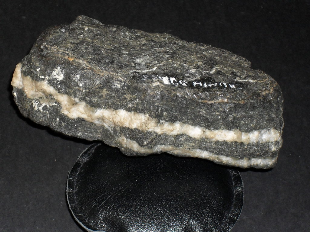 Rock Speciman- Amphibolite with Quartz Vein DUNIH 354.2