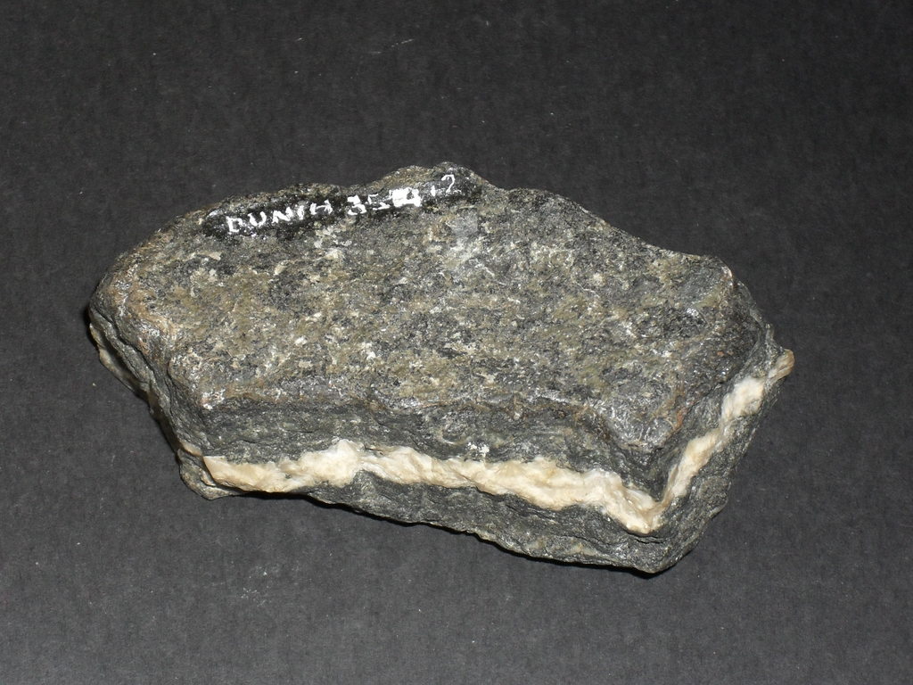 Rock Speciman- Amphibolite with Quartz Vein DUNIH 354.2