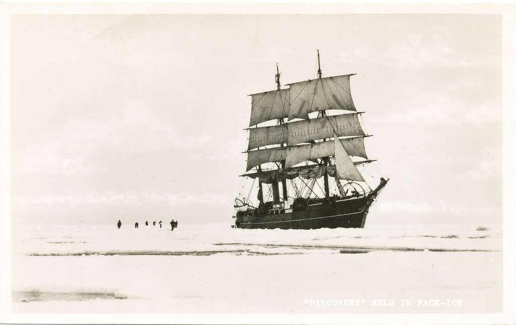 "Discovery held in pack-ice" DUNIH 361.1