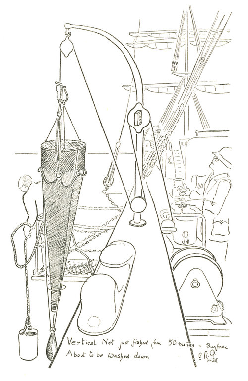 Notes and sketches made during two years on the "Discovery" Expedition 1925 - 1927 DUNIH 6