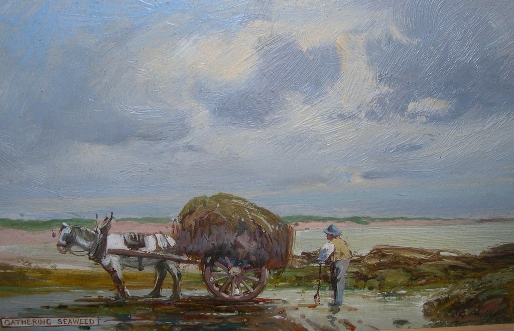 Oil Painting entitled Gathering Seaweed, Westhaven. DUNIH 449.7