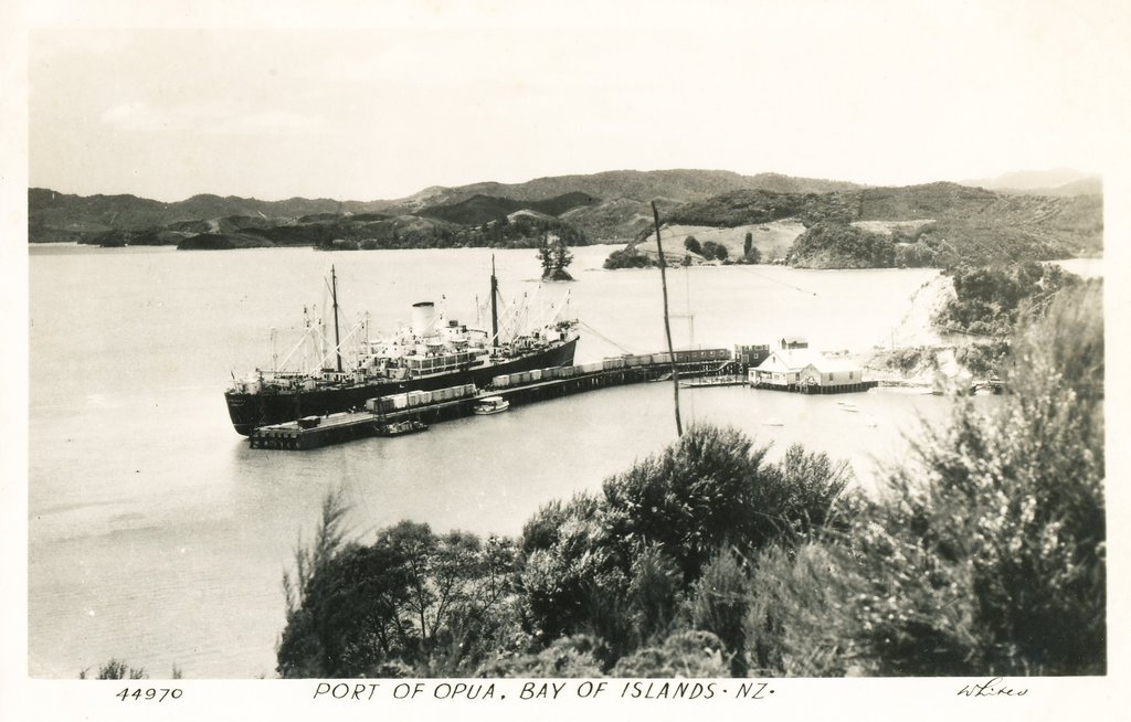 Postcard of Port of Opua, Bay of Islands, New Zealand DUNIH 2016.6.12