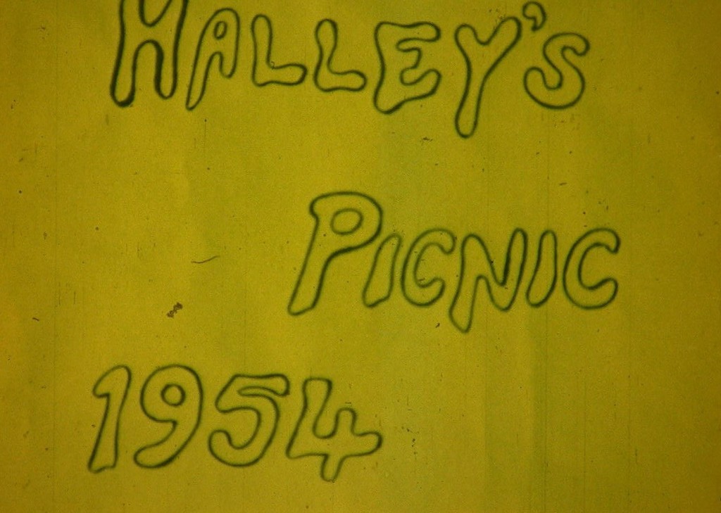 Halley's Picnic 1954-55 DUNIH 2009.52.8