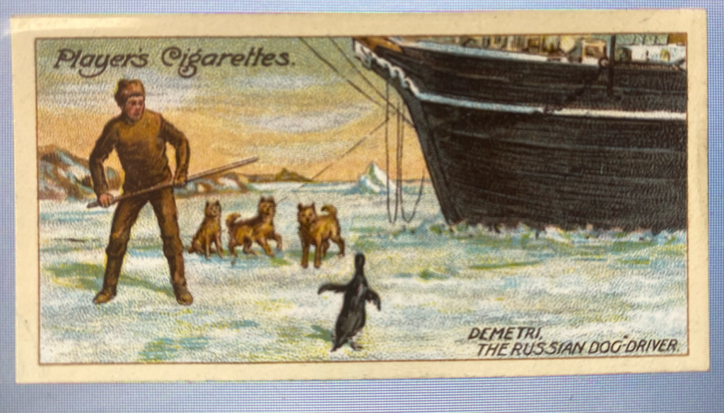 CIGARETTE CARD, Second Series no.9 Demetri, the Russian Dog-driver, keeping a penguin from the Dogs, one of a collection of cigarette cards detailing Polar Exploration DUNIH 2022.18.34