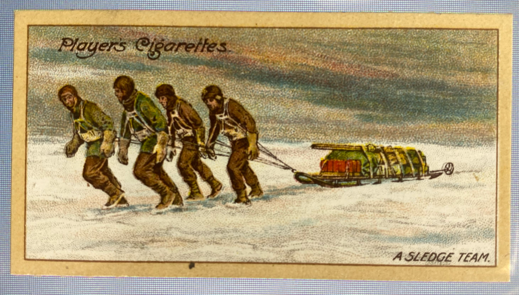 CIGARETTE CARD, Second Series no.14 A Sledge Team on the King Edward VII. Plateau, one of a collection of cigarette cards detailing Polar Exploration DUNIH 2022.18.39