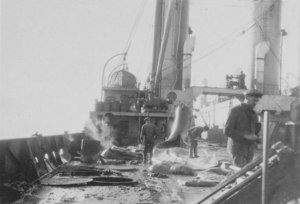 Image of Whaling ship DUNIH 1.486