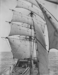 Image of "Discovery", South Atlantic 1929 DUNIH 1.494