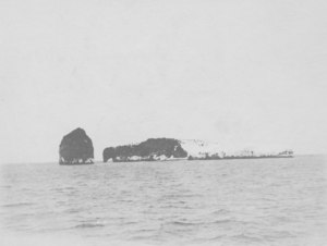 Image of Scott Island & Haggitt's Pillar DUNIH 1.508