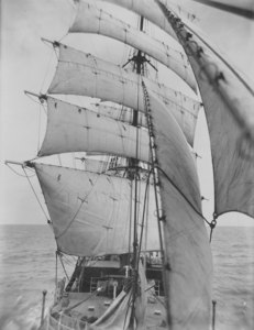 Image of "Discovery", 1929-31 DUNIH 1.538