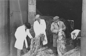 Image of Four workers inspecting jute DUNIH 106.18