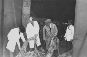 Image of Four workers inspecting jute DUNIH 106.19