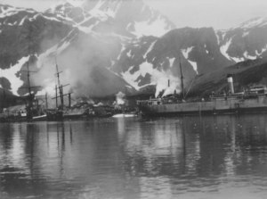 Image of Photograph of ships at port with mountains in background DUNIH 2007.44.4