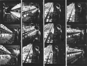 Image of Contact sheet of jute manufacturing DUNIH 2008.106.12