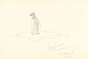 Image of "Penguin on Ice Flow" Drawing DUNIH 269.2