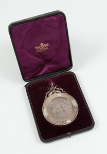 Image of Bowbridge Works Gymnastic Society Medal DUNIH 34.2