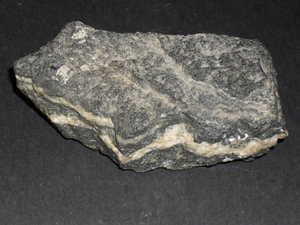 Image of Rock Speciman- Amphibolite with Quartz Vein DUNIH 354.2