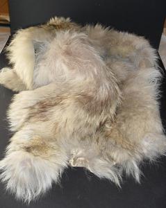 Image of Fur pelt possibly wolf or huskie W 79.133.22