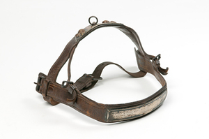 Image of Dog collar and harness W 79.133.56