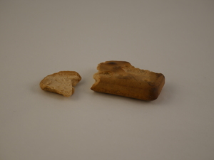 Image of Ship&#39;s biscuits fragments DUNIH 2016.30.27