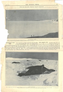 Image of Newspaper cutting showing different images of the Antarctic expedition 1901-4 DUNIH 2016.30.45.9