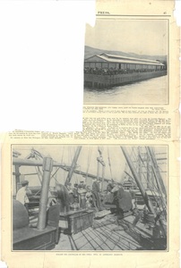 Image of Newspaper cutting showing different images of the Antarctic expedition 1901-4 DUNIH 2016.30.45.15