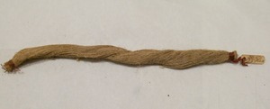 Image of Flax sample - &#39;2 1/22  Flax&#39; DUNIH 2017.1.30.5