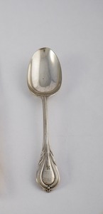 Image of Teaspoon belonging to a cutlery set used by H.T. Ferrar on board Discovery DUNIH 2017.5.5