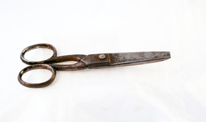 Image of Scissors DUNIH 2008.156.1