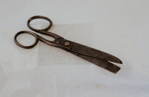 Image of Scissors DUNIH 2008.146