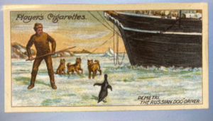 Image of CIGARETTE CARD, Second Series no.9 Demetri, the Russian Dog-driver, keeping a penguin from the Dogs, one of a collection of cigarette cards detailing Polar Exploration DUNIH 2022.18.34
