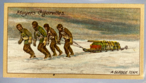 Image of CIGARETTE CARD, Second Series no.14 A Sledge Team on the King Edward VII. Plateau, one of a collection of cigarette cards detailing Polar Exploration DUNIH 2022.18.39