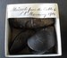 Mussel shells taken from the Morning's cable in 1904 thumbnail W 79.133.14